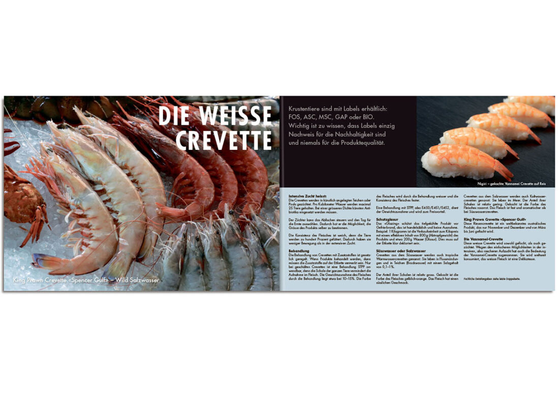 Crustacés – die Weisse Crevette