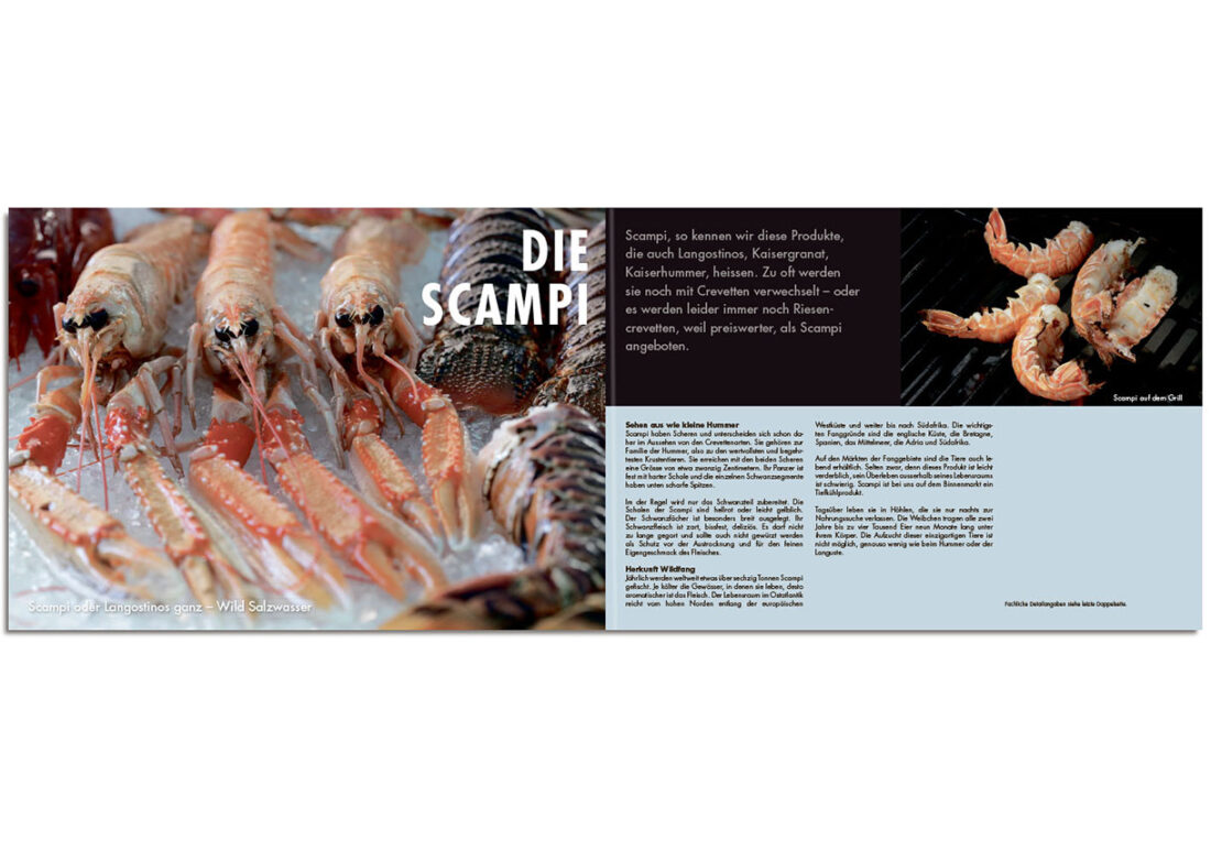 Crustacé – die Scampi